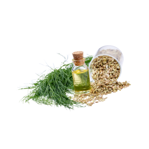 Fennel Essential Oil